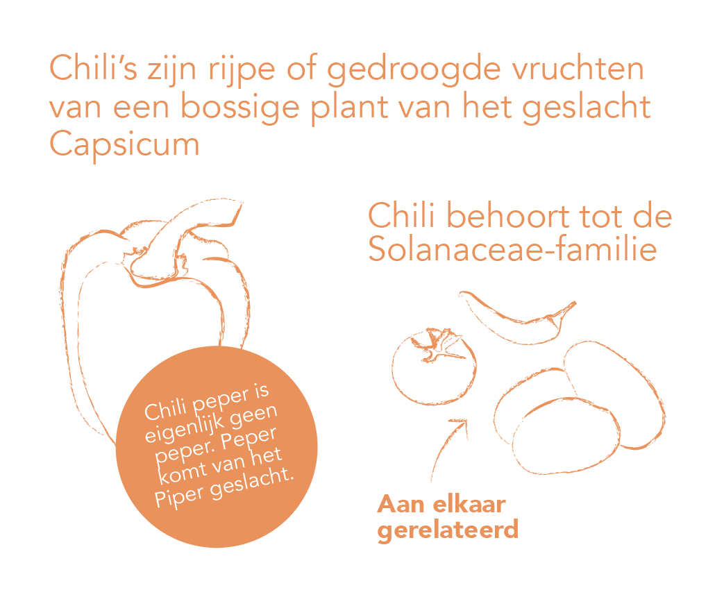 EUR_2004_AllesOver_Chili-algemeen.png